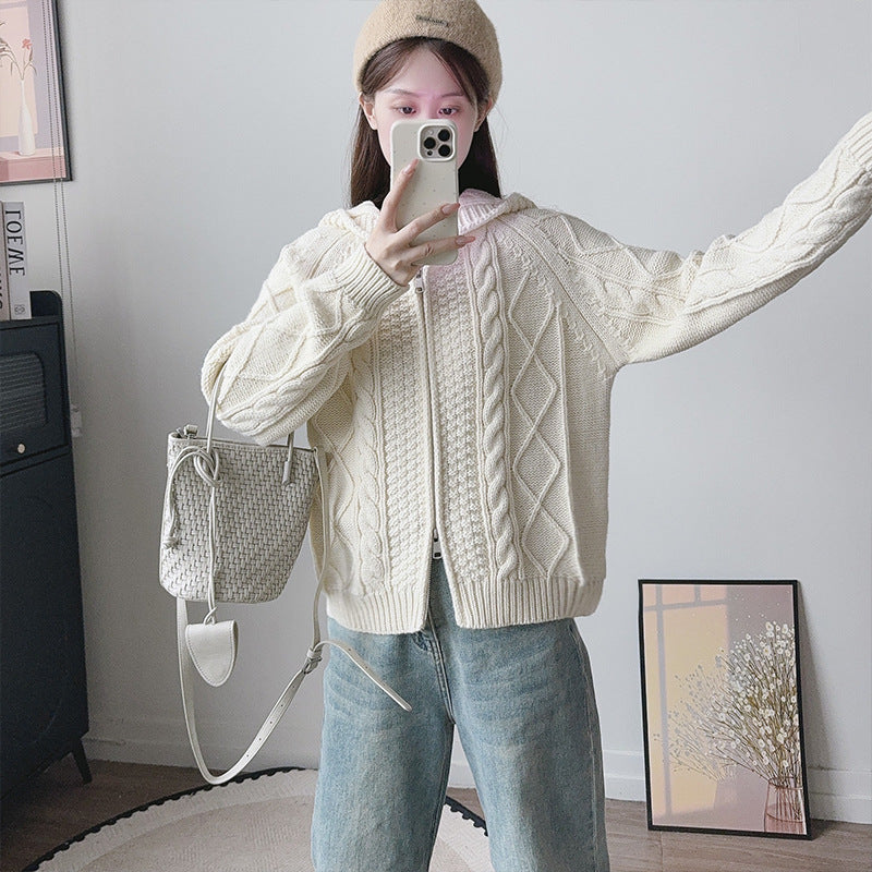 Hooded zipper loose sweater