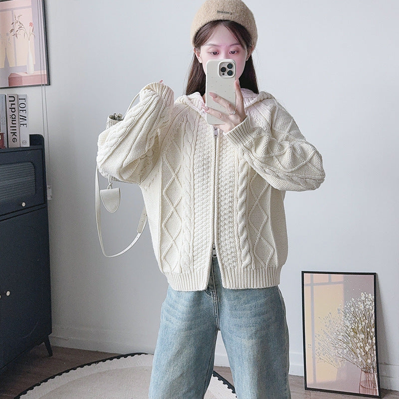 Hooded zipper loose sweater