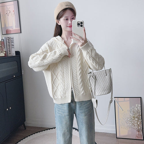 Hooded zipper loose sweater