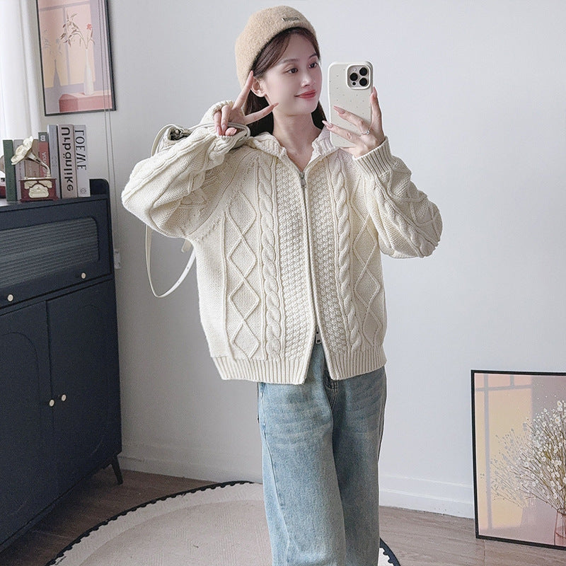 Hooded zipper loose sweater